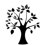 BotreeInc Logo